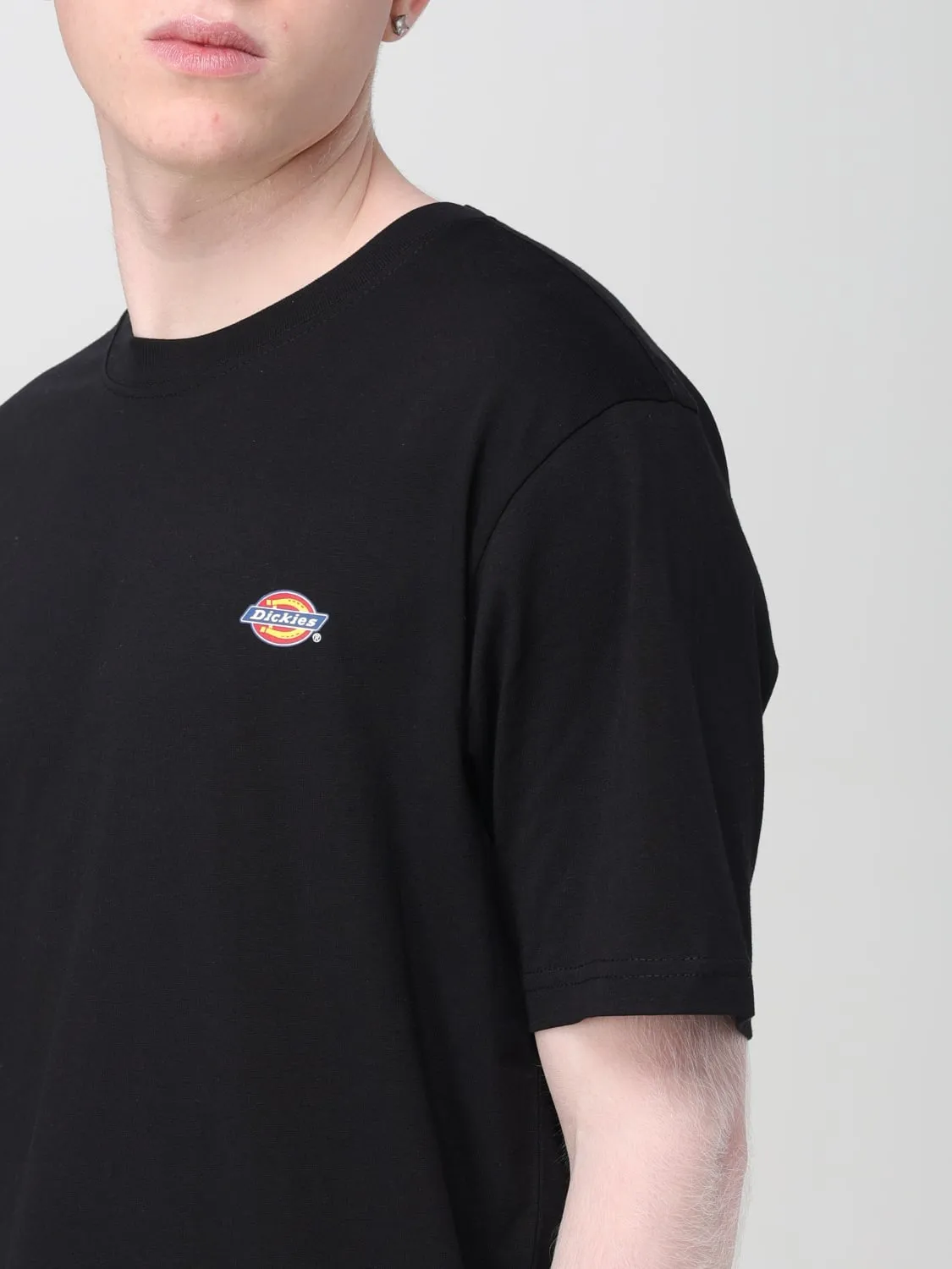 Camiseta hombre Dickies