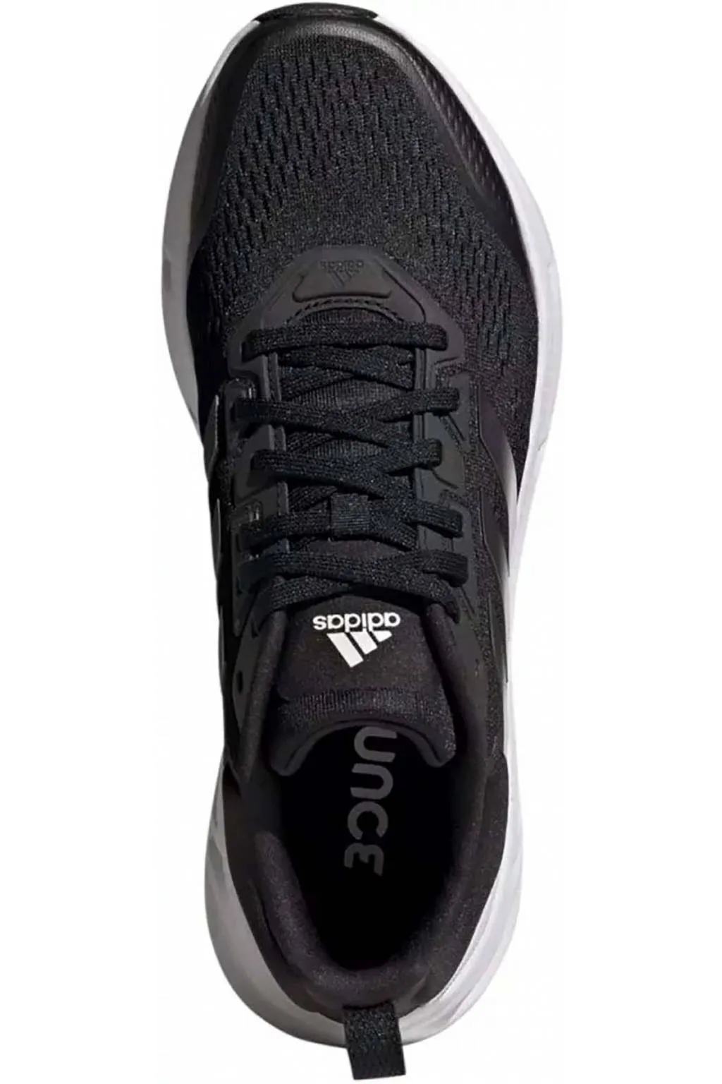 Zapatilla Adidas Questar gy2259